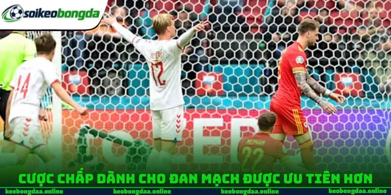 Cược chấp dành cho Đan Mạch được ưu tiên hơn