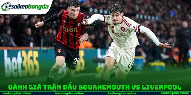 Đánh giá trận đấu Bournemouth vs Liverpool 