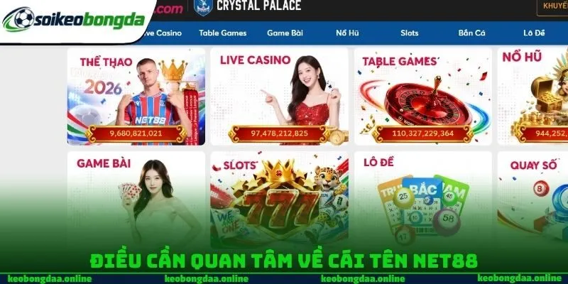 Điều cần quan tâm về cái tên NET88