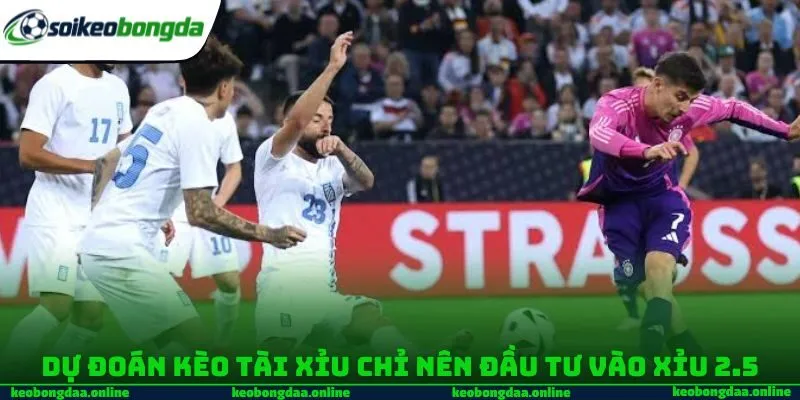 Dự đoán kèo Tài Xỉu chỉ nên đầu tư vào Xỉu 2.5