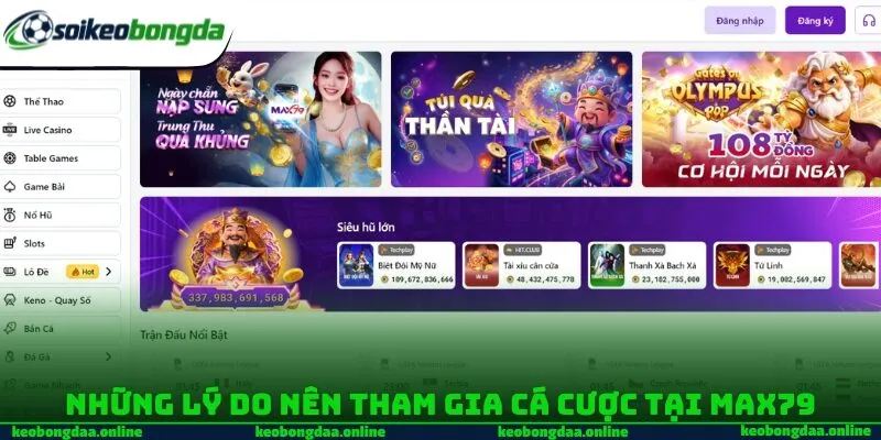 Những lý do nên tham gia cá cược tại Max79