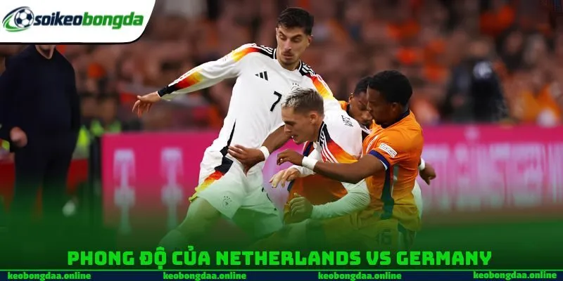 Phong độ của Netherlands vs Germany 