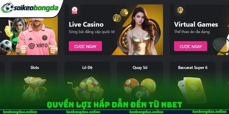 Quyền lợi hấp dẫn đến từ NBET