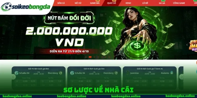 Sơ lược về nhà cái