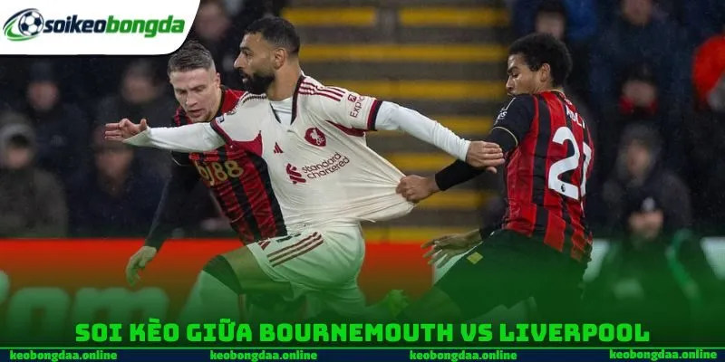 Soi kèo giữa Bournemouth vs Liverpool 