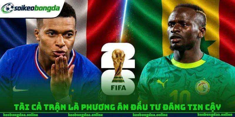 Tài cả trận là phương án đầu tư đáng tin cậy