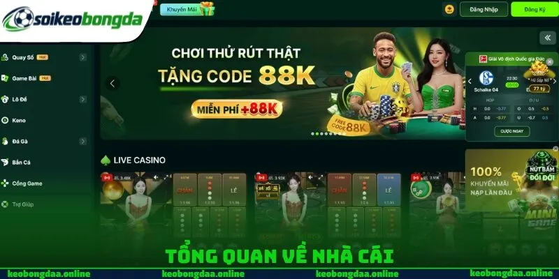Tổng quan về nhà cái