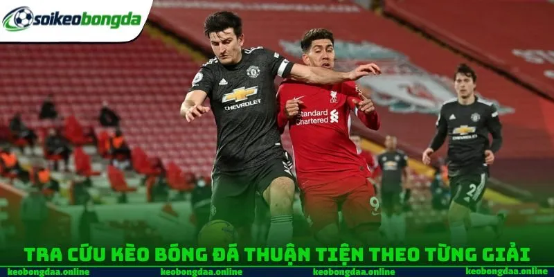 Tra cứu kèo bóng đá thuận tiện theo từng giải